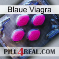 Blaue Viagra 02